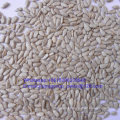 New Crop Food Grade Sunflower Seed Kernel